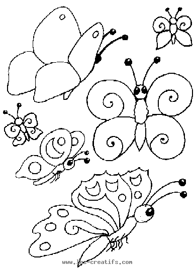 papillon_3.gif